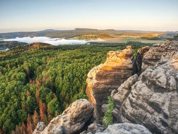 Скалистые Горы Над Ландшафтом Покрыты Зеленым Лесом Ясный Летний Рассвет — стоковое фото