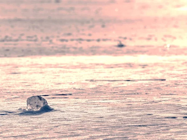 Stukken Van Gletsjer Een Ijsschots Ijs Vrij Zwevend Open Zeewater — Stockfoto