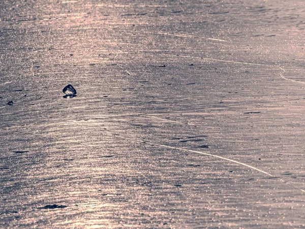 Розбиті Шматочки Льоду Замерзлому Морі Рожевими Синіми Тінями Під Час — стокове фото