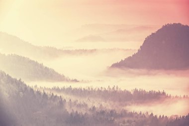 Sisli puslu sunrise hills en etrafında. Dağ orman manzarası. Karanlık ormanda haze manzara.