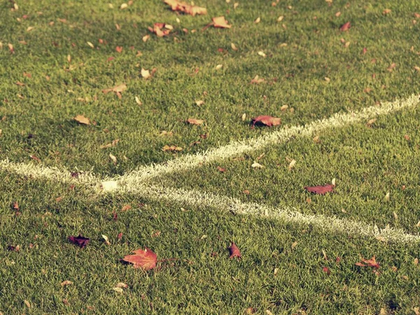 Chaotisch Fußballplatz Mit Bunten Herbst Ahornblättern Grünes Gras Hintergrund Nahaufnahme — Stockfoto