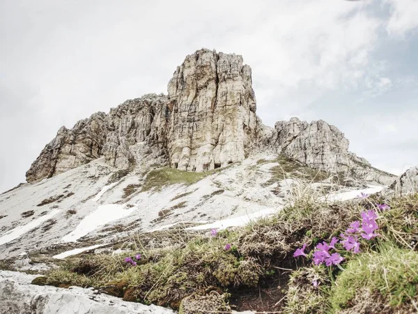 Fantastiska Landskap Med Vårblommor Blossom Och Berg Toppar — Stockfoto