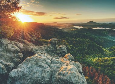 Rocky Dağları yatay yukarıda açık yaz daybreak ile yeşil orman kaplı. Avrupa'nın dağlık Dağları'nın peyzaj