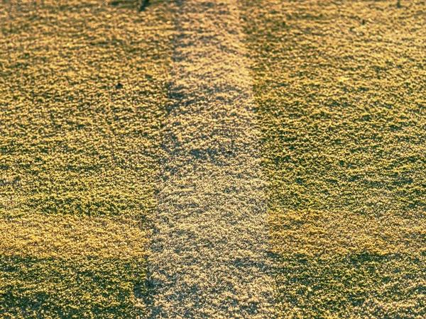 레이스 라인입니다 핸드볼 놀이터 플라스틱 표면에에서 화려한 — 스톡 사진