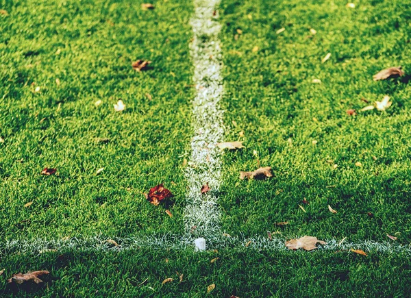 Övergivna Fotboll Lekplats Höstsäsongen Färska Gröna Gräs Med Nedfallna Löv — Stockfoto