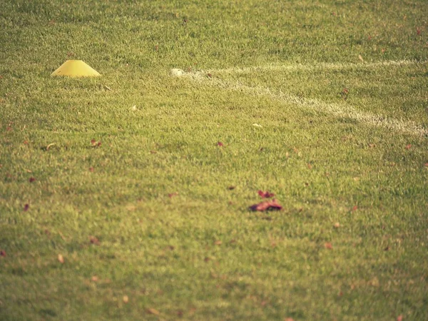 Herbstlaub Auf Dem Spielplatz Herbstliches Wettersymbol Auf Dem Fußballplatz Gelbe — Stockfoto