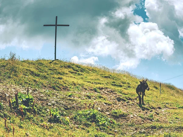 Top Kruis Berg Alpen Italien — Stockfoto