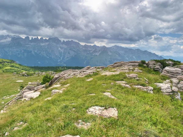 Beutiful Nyári Alpok Hegyek Felhők Feletti Csúcsok Erdő Előtérben — Stock Fotó