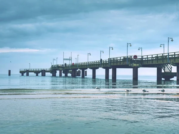 Shallow sea with a rising sea bridge. The pier leaving far into the sea