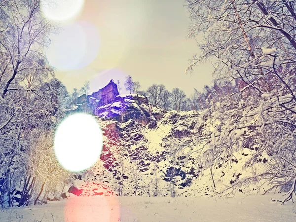 Äste Von Bäumen Sind Einem Geheimnisvollen Wald Mit Neuschnee Bedeckt — Stockfoto