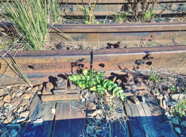 Ayrıntı paslı vida ve fındık eski tren yolu üzerinde. Paslı somun ve civata çürümüş ahşap kravatla. Hasarlı ahşap demiryolu Yataklı vagon. Tren yok bu demiryolu uzun bir süre geçti..