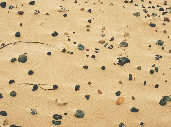 Sandstrand Med Stenar Och Snäckor Havet Pebble Stenar Mellan Sand — Stockfoto