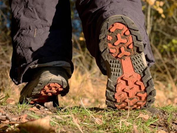 Hikers Boots Forest Trail Nature Park Leaves Yellow Autumn Park — Stock Photo, Image