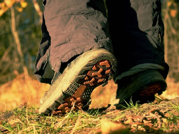 Female Walking High Trekking Boots Background Leaves Trees — Stock Photo, Image