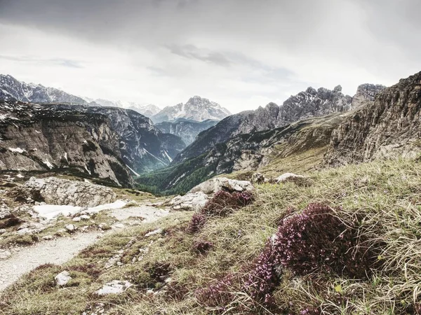 First Spring Beautiful Flowering Sextener Dolomiten Mountains View Italian Alps — Stock Photo, Image