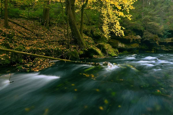 Derin Sonbahar Ormandaki Nehir Dağ Renkli Sis Nehri Kıyısında Ağaçlar — Stok fotoğraf