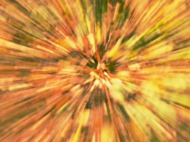 Soyut bulanık arka plan bırakır. Güneş patlaması ve bulanık kırmızı turuncu sarı ve yeşil renkli renk sezon değişim