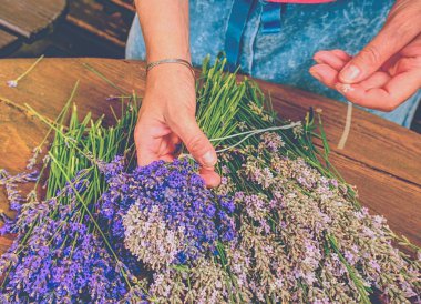 Bahçıvan genç eller güzel kokulu bohça taze lavanta SAP ile kravat. Doğal lavanta ile rustik dekorasyon