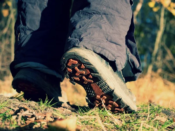 Buty Pieszych Leśną Jesienne Wędrówki Zbliżenie Chodzenie Butach Trekkingowych Tle — Zdjęcie stockowe