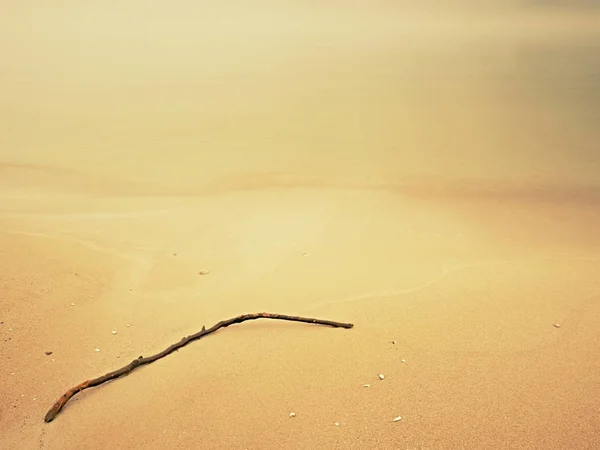 Övergiven Strand Med Gren Sand Och Hav Vatten Vinterdag Summertime — Stockfoto