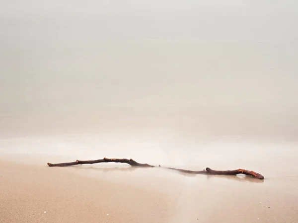 Verlaten Strand Met Branch Zand Zee Water Winter Overdag Zomer — Stockfoto