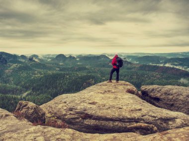 Puslu manzara izlemek için adam dur. Puslu orman manzara yüksek bir uçurumun kenarında andan