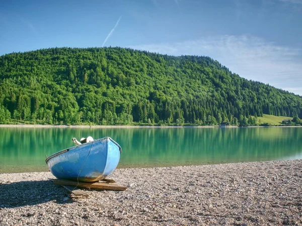 リモート荒野の美しいドイツの山湖の小石の海岸 — ストック写真
