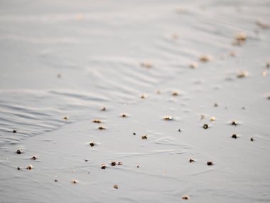 Güneş yansımaları. Kırık buz parçalarını erime, kütleleri donmuş göl üzerinde ezilmiş.