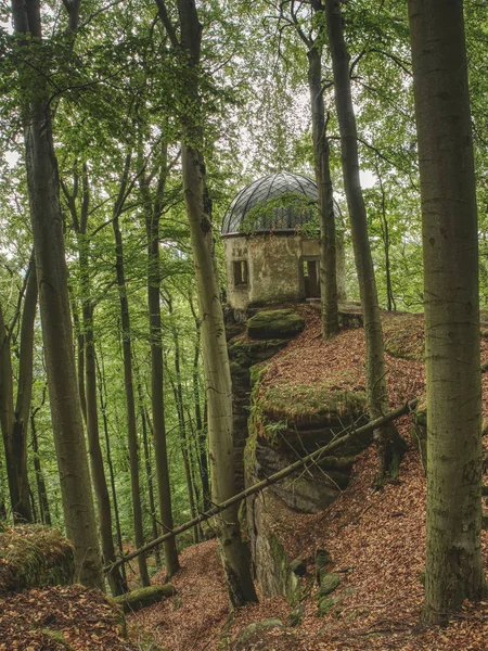 ブナの森に隠された 苔で覆われて岩山のクライナー ヴィンターベルク望楼 — ストック写真