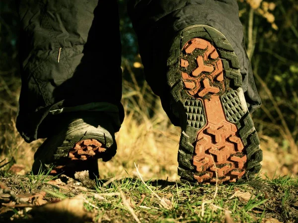 Vandrare Stövlar Skogsstig Höstens Vandring Närbild Går Trekking Skor Bakgrunden — Stockfoto