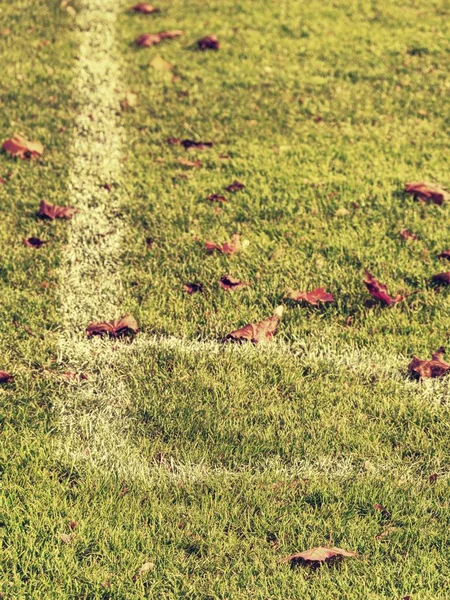Herfstbladeren Speelplaats Het Symbool Van Herfst Weer Het Voetbalveld Gele — Stockfoto