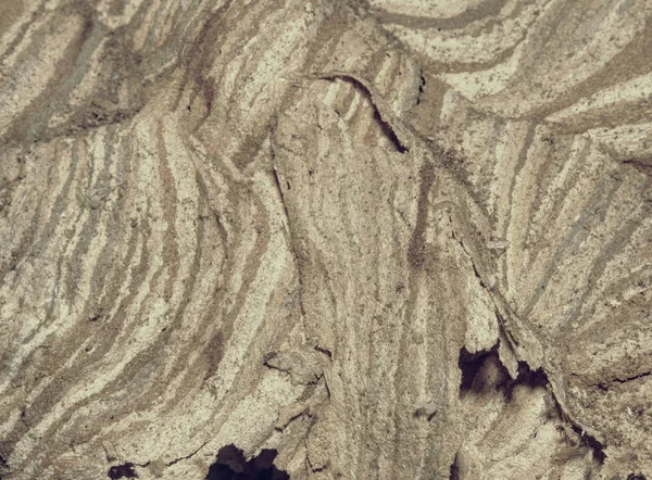 古い庭の家の屋根の下でスズメバチの巣 使用される灰色のスズメバチの巣をクローズ アップ — ストック写真