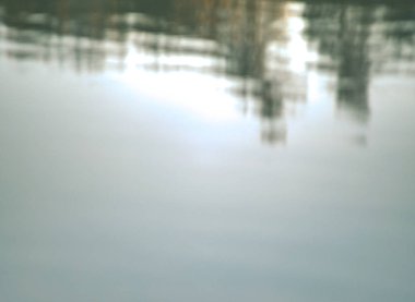 Göl su orman oposit yakasında yansıtması. Su seviyesi romantik soyut bulanık görünüme.