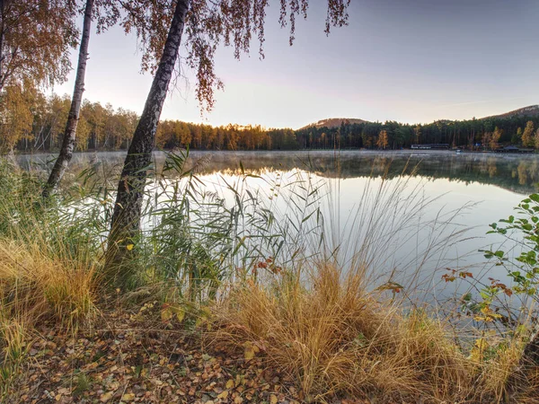 Herbstabend Auf Dem See Schöner Waldsee Mit Trockenem Goldenem Halm — Stockfoto