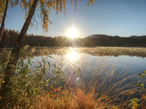 Hermosa Cantera Del Lago Del Bosque Día Claro Otoño Reflexión — Foto de Stock