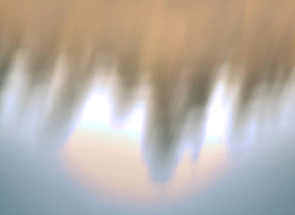 Zrcadlení Korunách Stromů Vodní Hladiny Jezera Jemná Mlha Nad Vodou — Stock fotografie