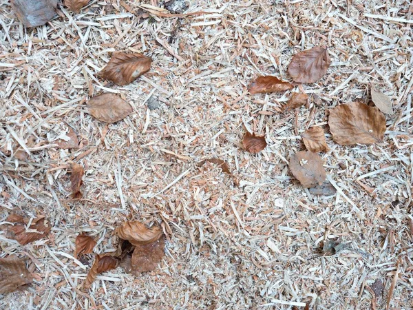 Bark mulch and fallen autumn beech leaves. Organic mulch with wood chips and bark pieces
