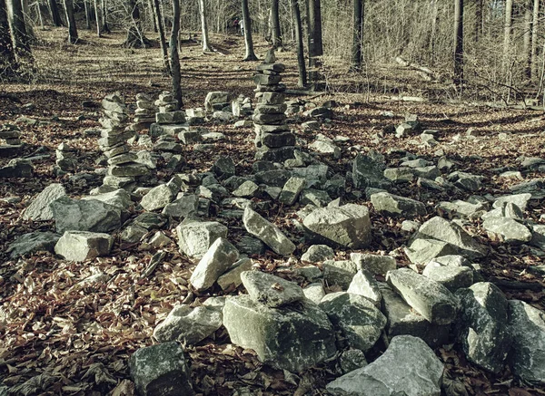 Area Forest Covered Many Mysterious Piles Stones Autumn — Stock Photo, Image
