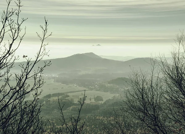 Начерки Лісових Пагорбів Сховані Густому Тумані Холодний Вологий Ранок Осінньої — стокове фото