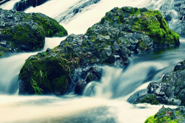 Grünes Gras Bedeckt Mit Eis Bach Siedender Und Rumpelnder Wasserfall — Stockfoto