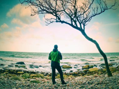 Akşamları harika deniz manzarası üzerinde seyir turistik takım elbise ile genç adam 