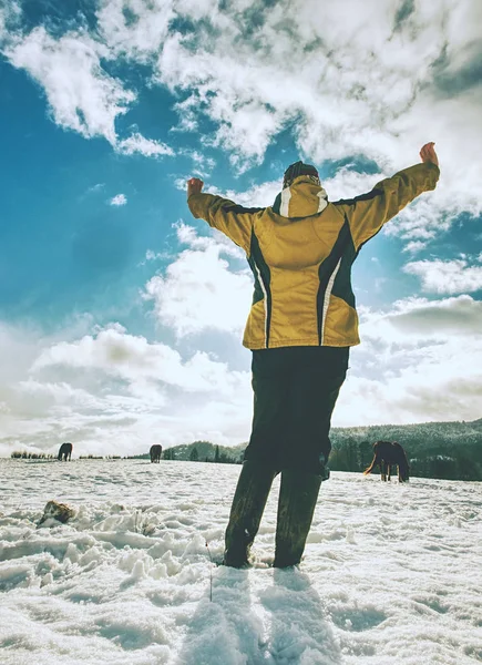 Mujer Está Gritando Los Caballos Nieve Señorita Color Amarillo Ropa — Foto de Stock