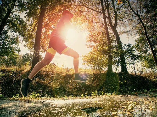 The Athletic man running on a forest trail. The man run on a trail in autumn forest