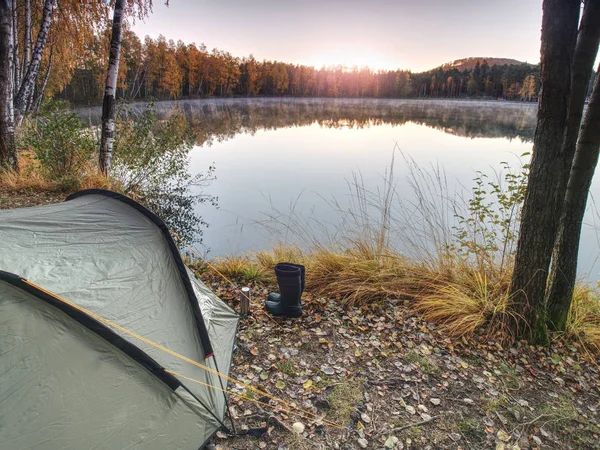 Touristenzelt Zelten Unter Bäumen Ufer Des Flusses Sommer Sonniger Morgen — Stockfoto