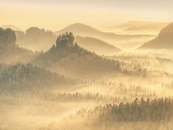 Floresta Mágica Outono Com Raios Sol Pela Manhã Paisagem Colorida — Fotografia de Stock