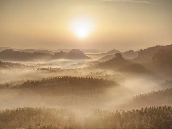 Волшебный Осенний Лес Солнечными Лучами Утром Красочный Пейзаж Туманным Лесом — стоковое фото