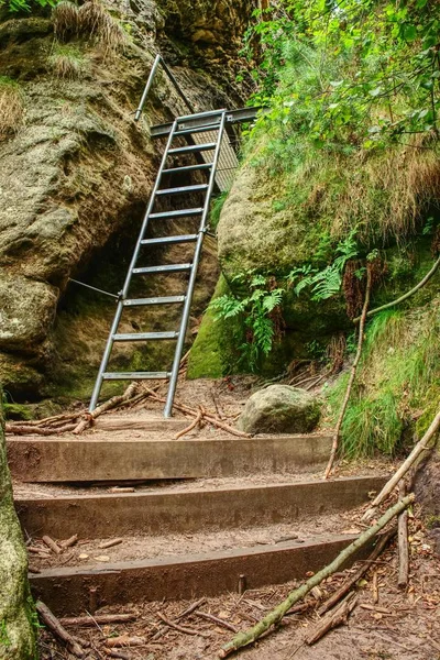 Leitertreppen Steigen Sandsteinschlucht Klettersteig Stahlleiter Und Seil Auf Einem Felsen — Stockfoto