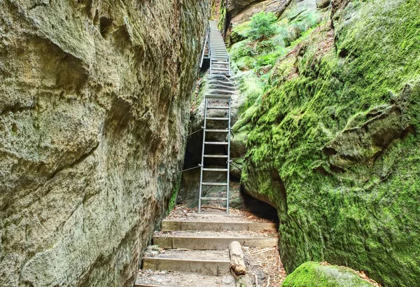 Leitertreppen Steigen Sandsteinschlucht Klettersteig Stahlleiter Und Seil Auf Einem Felsen — Stockfoto