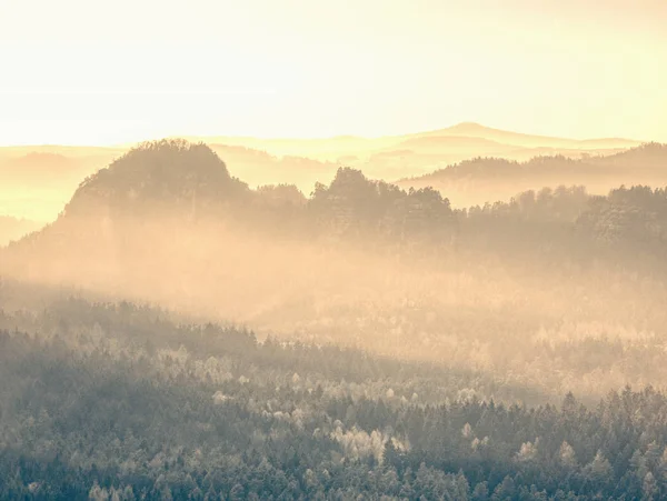 Осенний Лес Туманной Тени Туманный Горный Лесной Пейзаж Туманные Иголки — стоковое фото