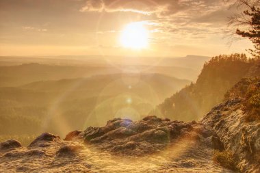 Sonbahar Orman puslu gölgelerde. Puslu dağ orman manzarası. Sisli iğneler orman